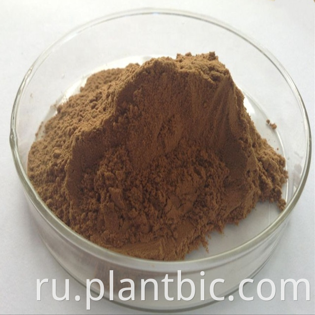 Peppermint Powder Водорастворимый Peppermint Extract Peppermint Экстракт Порошок